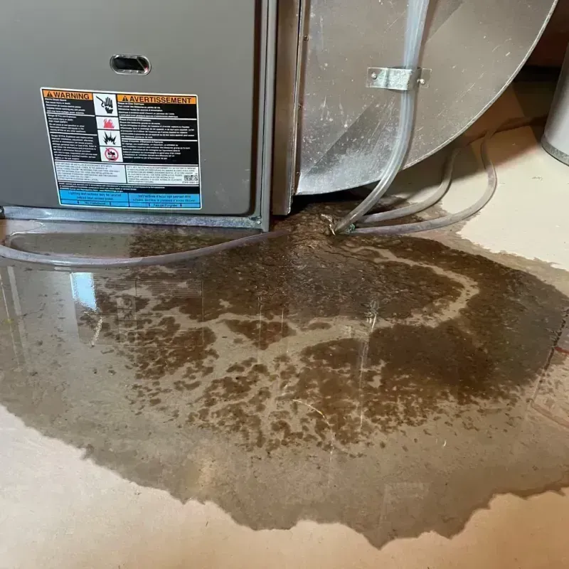 Appliance Leak Cleanup in Piedmont, MO